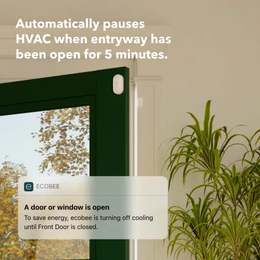 61IcmcRs98L._AC_SL1000_