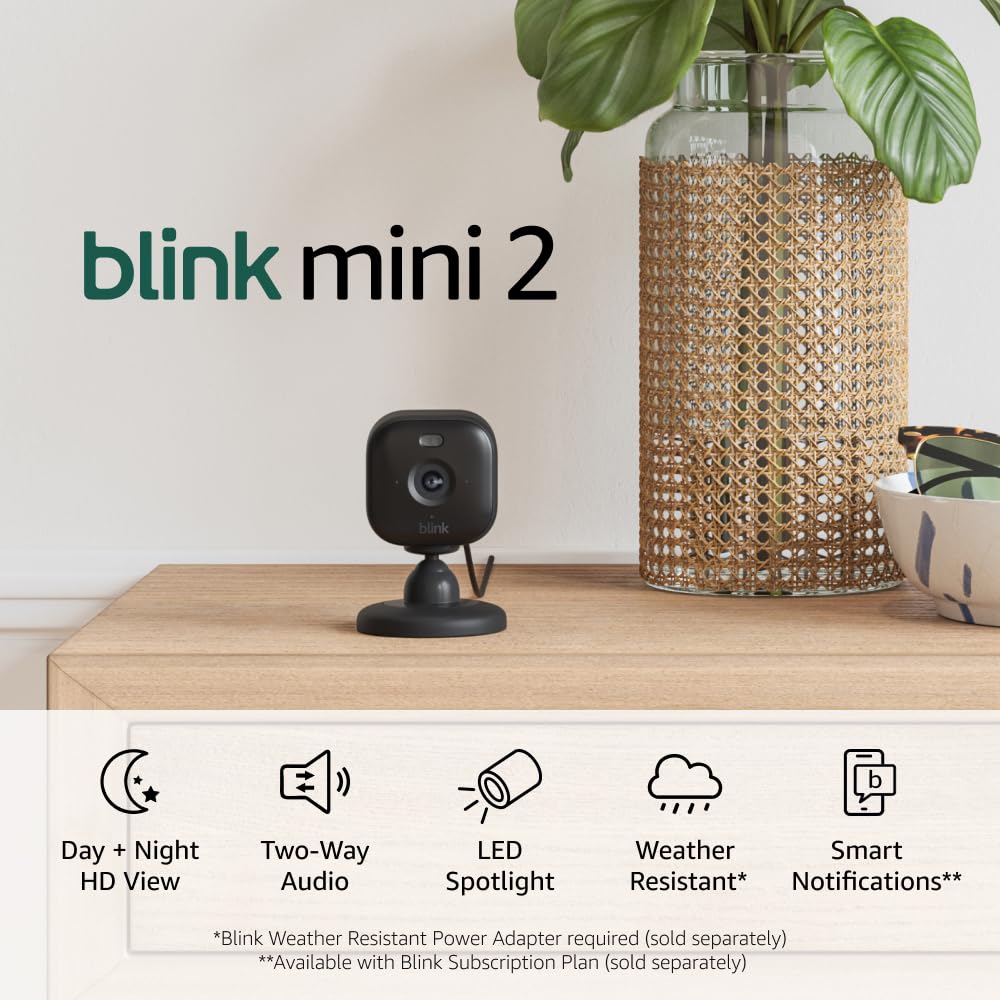 Mini 2 — Home Security & Pet Camera(s) with HD video, color night view, motion detection, two-way audio, and built-in spotlight — 1 camera (Black) Black Camera 1 Camera