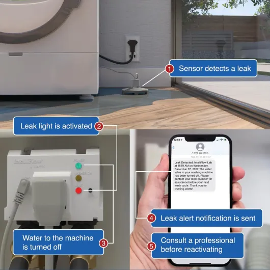 71xQ-VqEGZL._AC_SL1500_