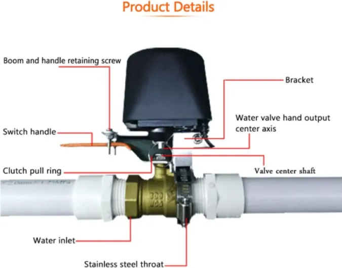 51Sb-OBpZZL._AC_SL1000_